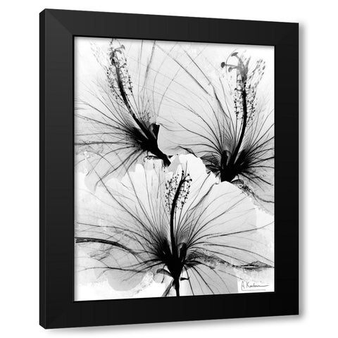 Floral Abstract 1 Black Modern Wood Framed Art Print by Koetsier, Albert