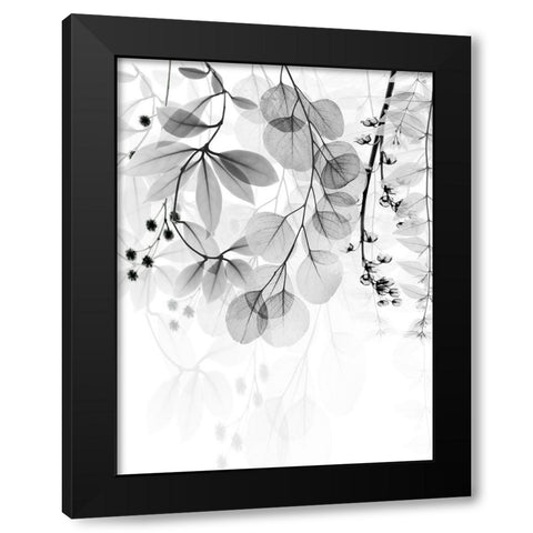 Complex Matter 2 Black Modern Wood Framed Art Print with Double Matting by Koetsier, Albert