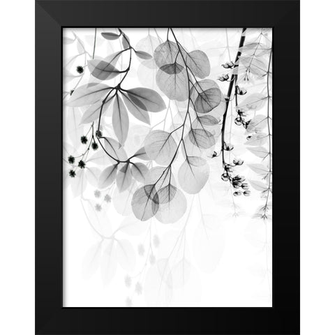 Complex Matter 2 Black Modern Wood Framed Art Print by Koetsier, Albert