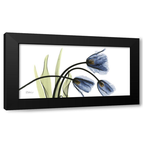 Tulip Blues Black Modern Wood Framed Art Print by Koetsier, Albert