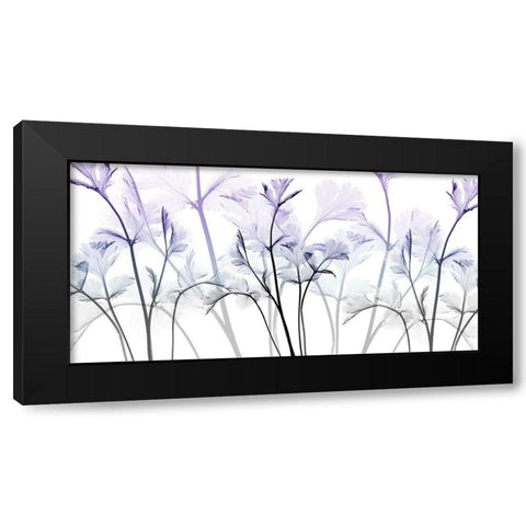 Amethyst Passion Black Modern Wood Framed Art Print by Koetsier, Albert