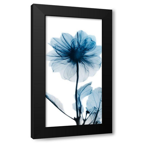 Sapphire Glam 2 Black Modern Wood Framed Art Print by Koetsier, Albert