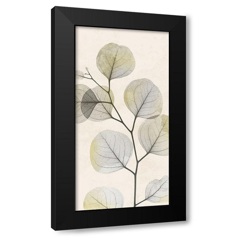 Sunkissed Growth 1 Black Modern Wood Framed Art Print with Double Matting by Koetsier, Albert