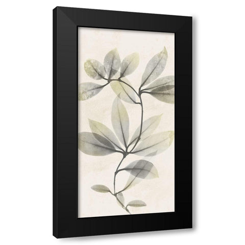 Sunkissed Growth 2 Black Modern Wood Framed Art Print with Double Matting by Koetsier, Albert