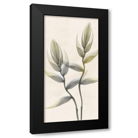 Sunkissed Growth 4 Black Modern Wood Framed Art Print with Double Matting by Koetsier, Albert