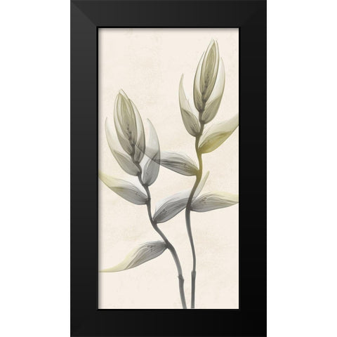 Sunkissed Growth 4 Black Modern Wood Framed Art Print by Koetsier, Albert