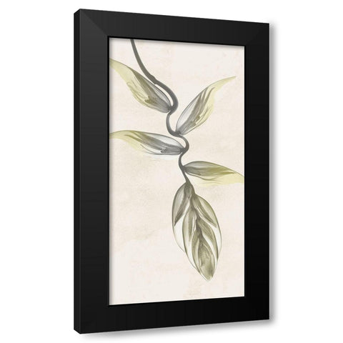 Sunkissed Growth 5 Black Modern Wood Framed Art Print with Double Matting by Koetsier, Albert