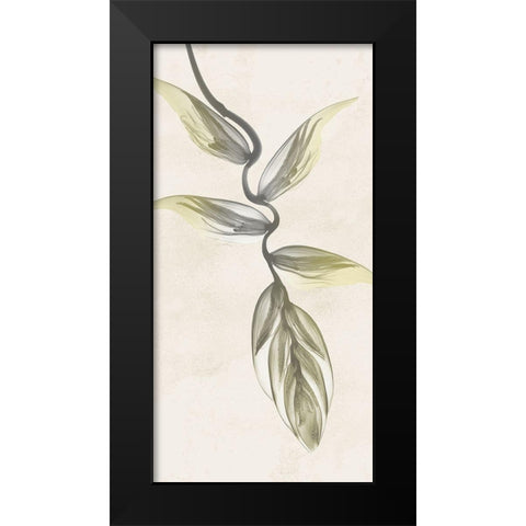 Sunkissed Growth 5 Black Modern Wood Framed Art Print by Koetsier, Albert