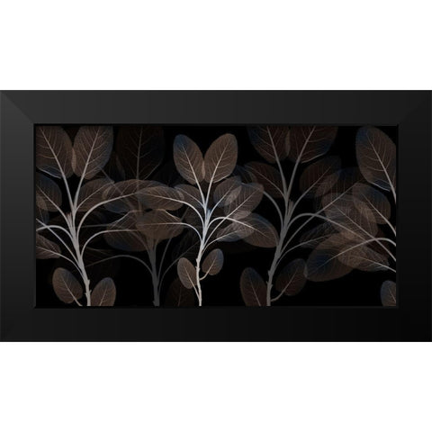 Cocoa Blooms 1 Black Modern Wood Framed Art Print by Koetsier, Albert