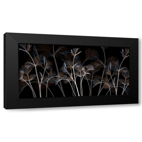 Cocoa Amethyst 1 Black Modern Wood Framed Art Print with Double Matting by Koetsier, Albert