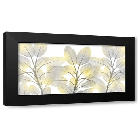 Illuminated Beauty 1 Black Modern Wood Framed Art Print with Double Matting by Koetsier, Albert