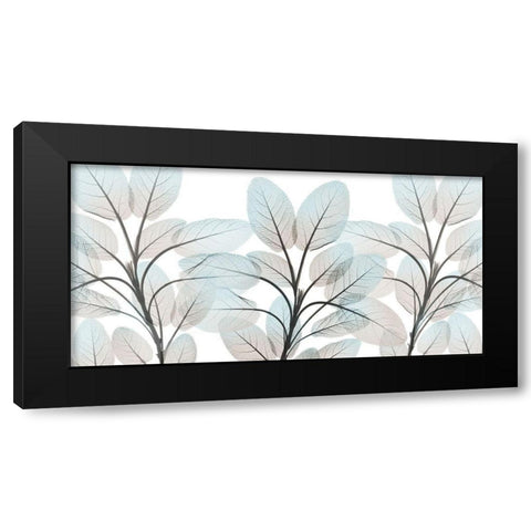 Sandy Beauty 1 Black Modern Wood Framed Art Print with Double Matting by Koetsier, Albert