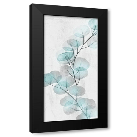 Eucalyptus Glow 2 Black Modern Wood Framed Art Print with Double Matting by Koetsier, Albert