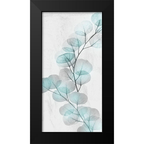 Eucalyptus Glow 2 Black Modern Wood Framed Art Print by Koetsier, Albert