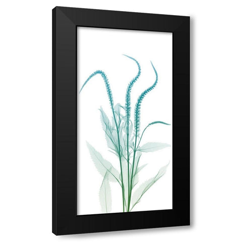 Serene Flourish 2 Black Modern Wood Framed Art Print by Koetsier, Albert