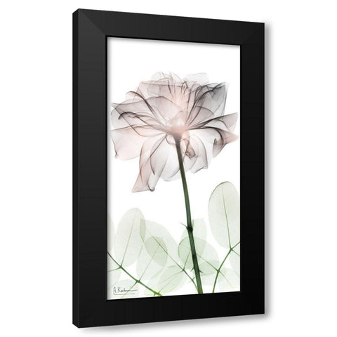 Loving Rose 2 Black Modern Wood Framed Art Print with Double Matting by Koetsier, Albert