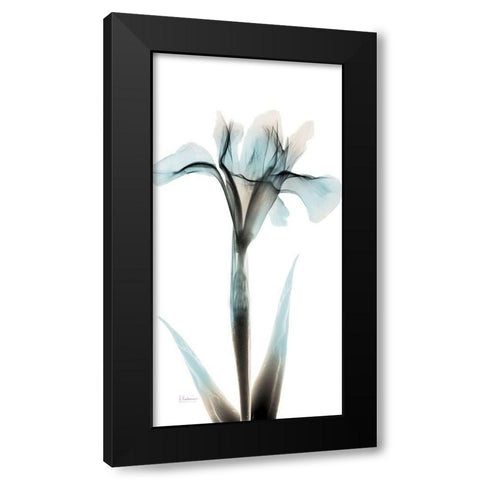 Sea Infused Iris 1 Black Modern Wood Framed Art Print with Double Matting by Koetsier, Albert