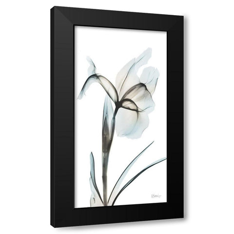 Sea Infused Iris 2 Black Modern Wood Framed Art Print by Koetsier, Albert