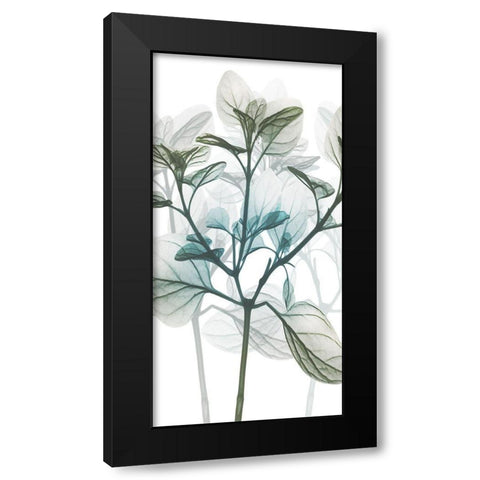 Sea Breeze Pleasures 1 Black Modern Wood Framed Art Print with Double Matting by Koetsier, Albert