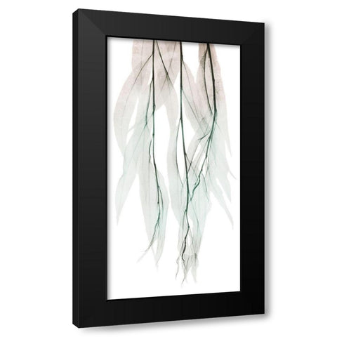 Seashore Growth 1 Black Modern Wood Framed Art Print by Koetsier, Albert