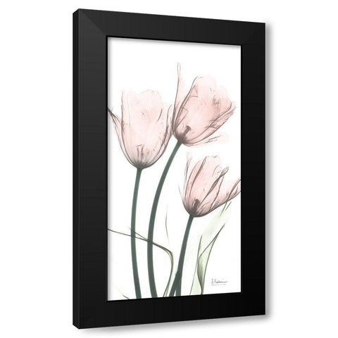 Strawberry Infused Tulips Black Modern Wood Framed Art Print by Koetsier, Albert