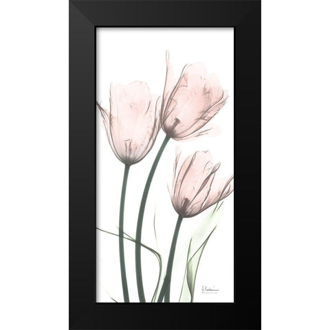 Strawberry Infused Tulips Black Modern Wood Framed Art Print by Koetsier, Albert