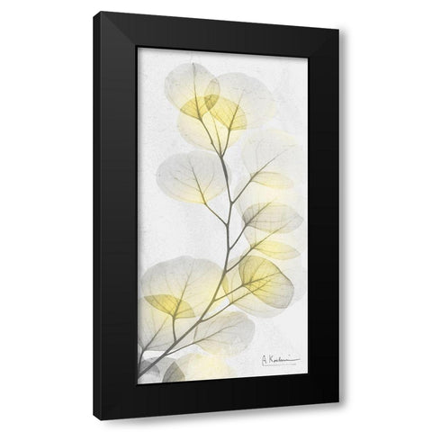 Eucalyptus Sunshine 1 Black Modern Wood Framed Art Print by Koetsier, Albert