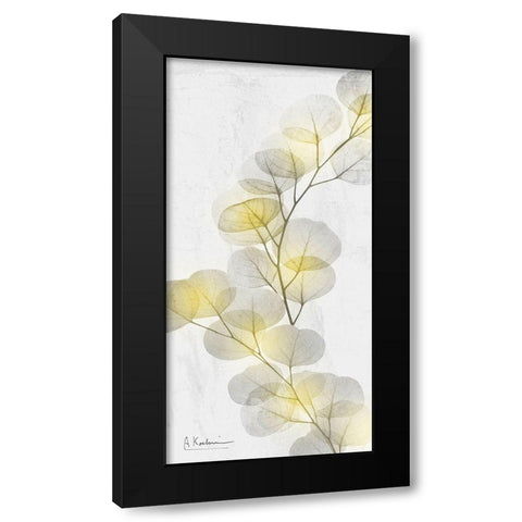 Eucalyptus Sunshine 2 Black Modern Wood Framed Art Print with Double Matting by Koetsier, Albert