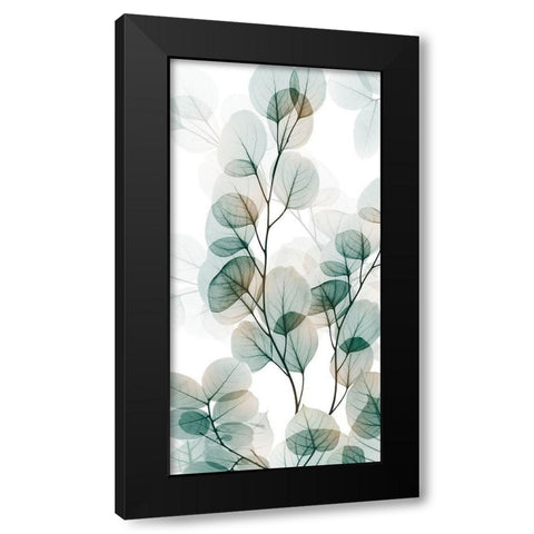 Natural Reach 1 Black Modern Wood Framed Art Print with Double Matting by Koetsier, Albert