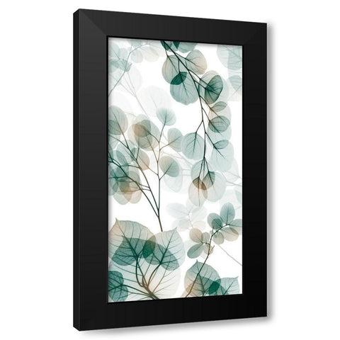 Natural Reach 2 Black Modern Wood Framed Art Print with Double Matting by Koetsier, Albert