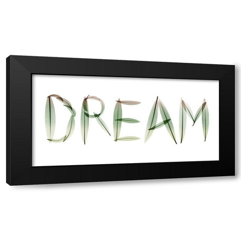 Dream Black Modern Wood Framed Art Print with Double Matting by Koetsier, Albert