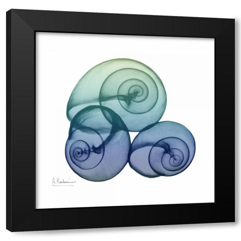 Sea Sky Snails Black Modern Wood Framed Art Print with Double Matting by Koetsier, Albert