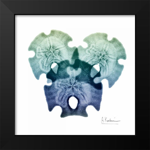 Sea Sky Sand Dollars Black Modern Wood Framed Art Print by Koetsier, Albert