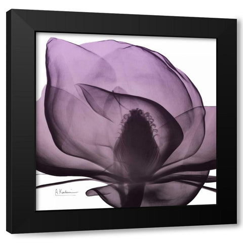 Magnolia Wine Beauty Black Modern Wood Framed Art Print with Double Matting by Koetsier, Albert