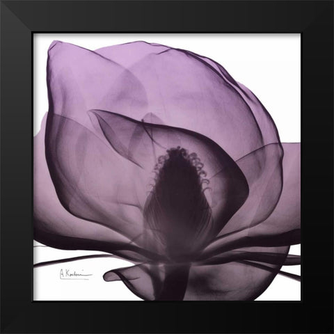 Magnolia Wine Beauty Black Modern Wood Framed Art Print by Koetsier, Albert