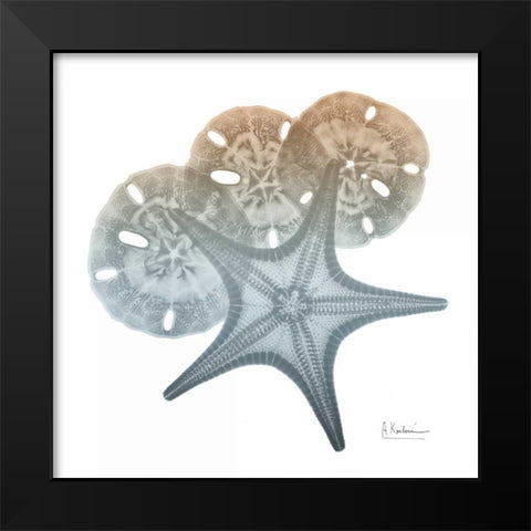 Earthy Hues Starfish and Sand Dollar Black Modern Wood Framed Art Print by Koetsier, Albert