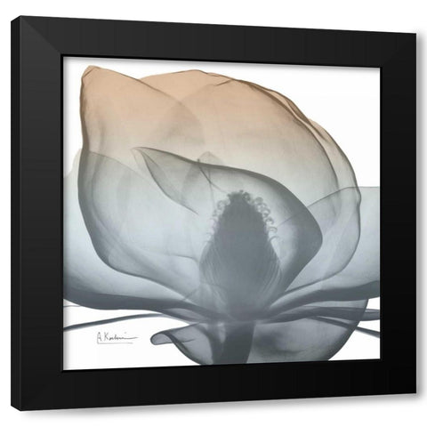 Magnolia Earthy Beauty New Black Modern Wood Framed Art Print with Double Matting by Koetsier, Albert