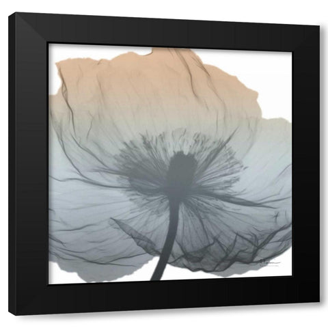 Poppy Earthy Beauty Black Modern Wood Framed Art Print by Koetsier, Albert