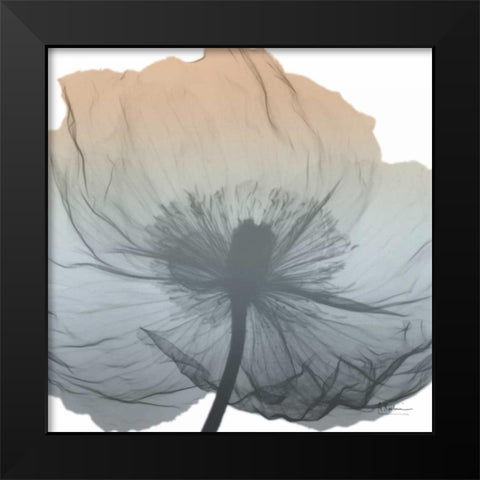 Poppy Earthy Beauty Black Modern Wood Framed Art Print by Koetsier, Albert