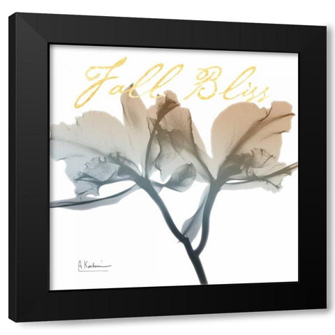 Blessed Orchid Black Modern Wood Framed Art Print with Double Matting by Koetsier, Albert