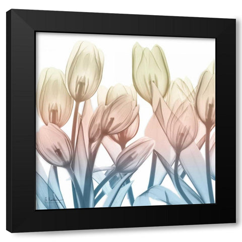 Fantastic Bloom Black Modern Wood Framed Art Print with Double Matting by Koetsier, Albert