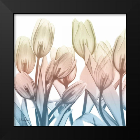 Fantastic Bloom Black Modern Wood Framed Art Print by Koetsier, Albert