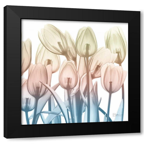 Fantastic Bloom 2 Black Modern Wood Framed Art Print by Koetsier, Albert