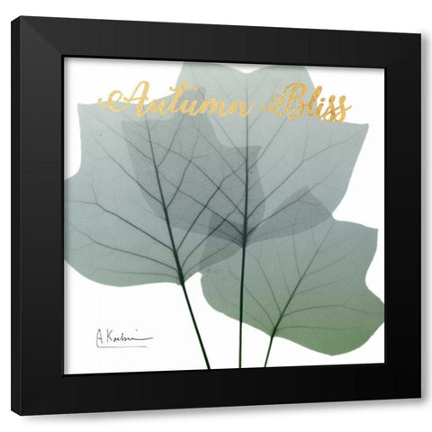 Blissful Rain Black Modern Wood Framed Art Print with Double Matting by Koetsier, Albert