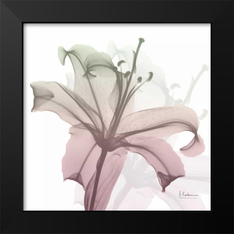 Neapolitan Lily Black Modern Wood Framed Art Print by Koetsier, Albert