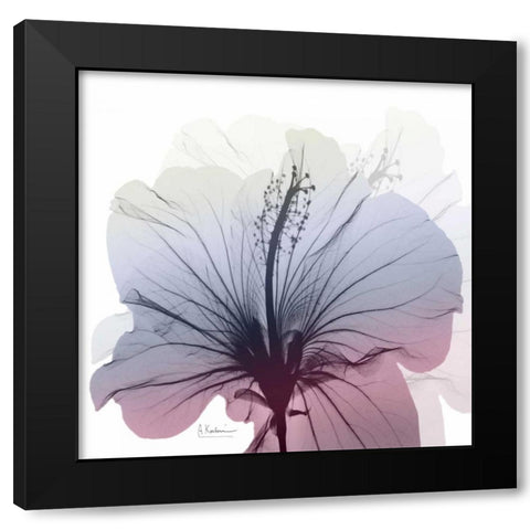 Tasty Grape Hibiscus Black Modern Wood Framed Art Print by Koetsier, Albert