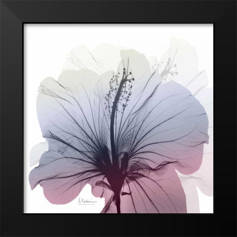 Tasty Grape Hibiscus Black Modern Wood Framed Art Print by Koetsier, Albert