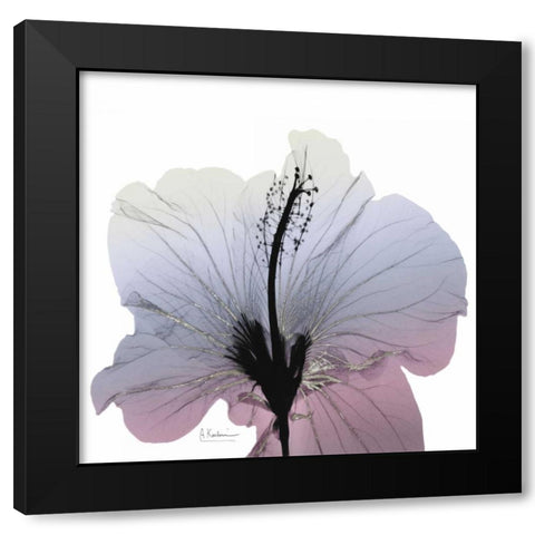 Silver Splash 1 Black Modern Wood Framed Art Print with Double Matting by Koetsier, Albert