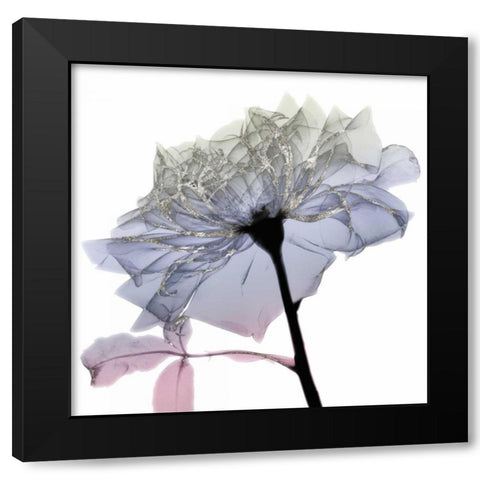 Silver Splash 3 Black Modern Wood Framed Art Print with Double Matting by Koetsier, Albert