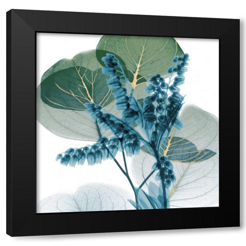 Golden Lilly Of Eucalyptus 2 Black Modern Wood Framed Art Print with Double Matting by Koetsier, Albert